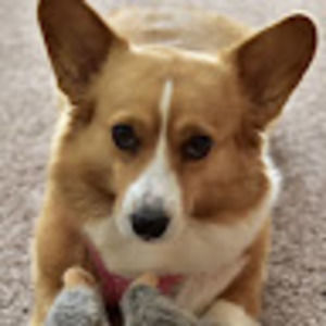 Meet your Posher, Brandy